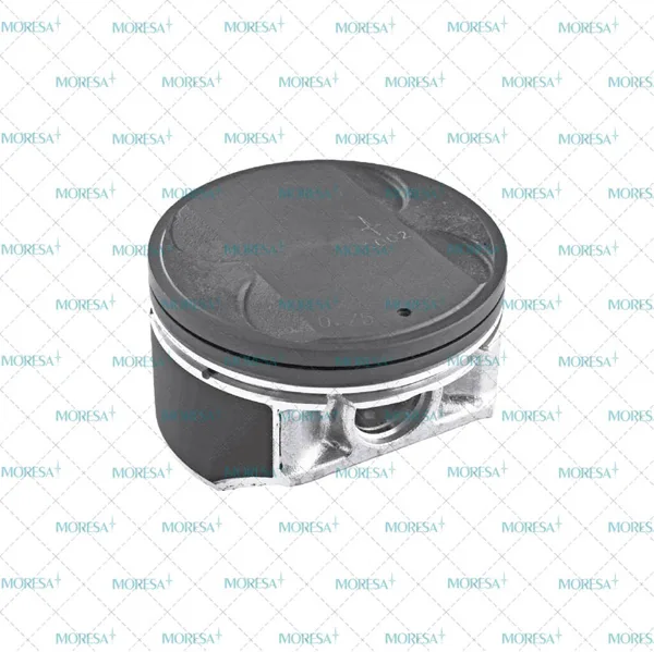Pistón 1002 STD