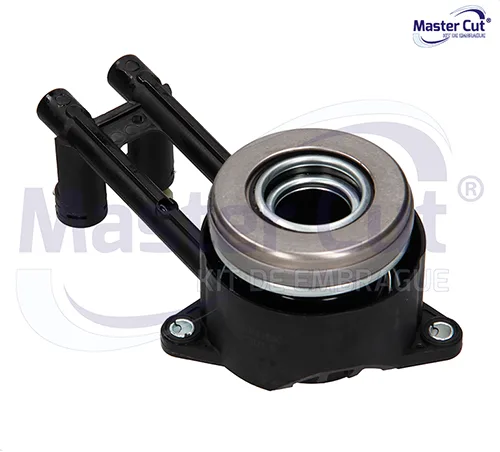 COLLARIN 510005810MC