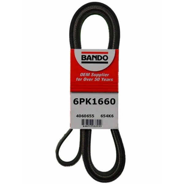 PK  BANDA DE SERPENTIN 6PK1660