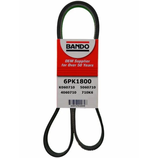 PK  BANDA DE SERPENTIN 6PK1800