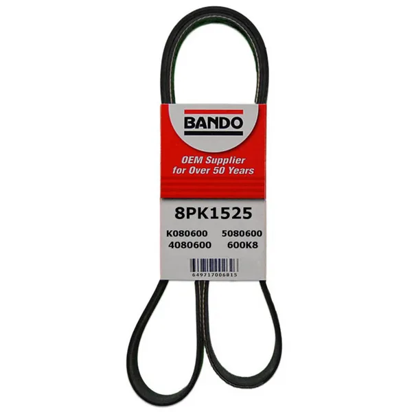PK  BANDA DE SERPENTIN 8PK1525