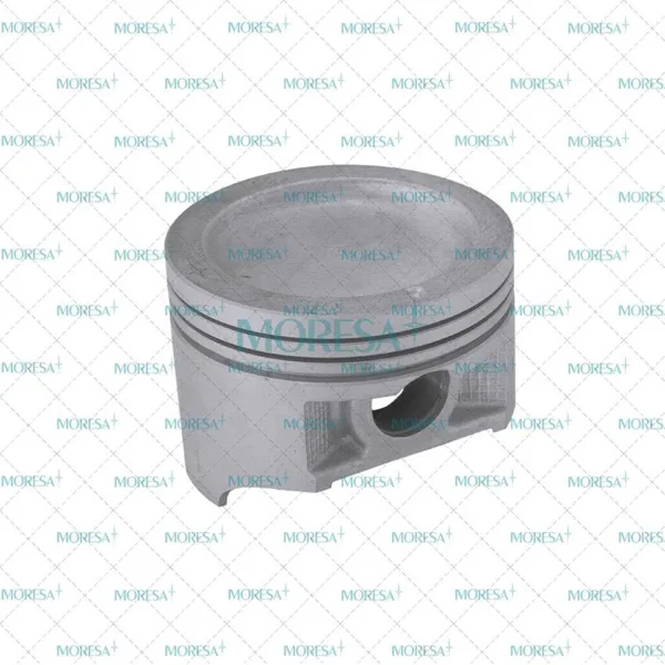 Pistón 976 075