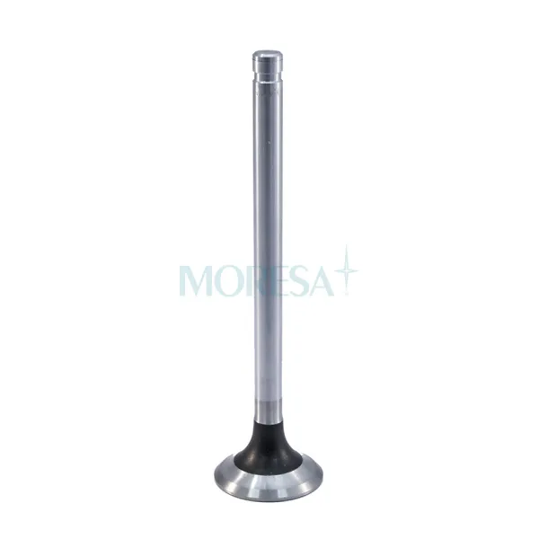 Válvula para cabeza de motor  Diesel AS-9714 STD
