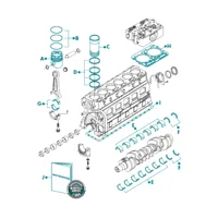 Conjunto de cilindro para motor  Diesel