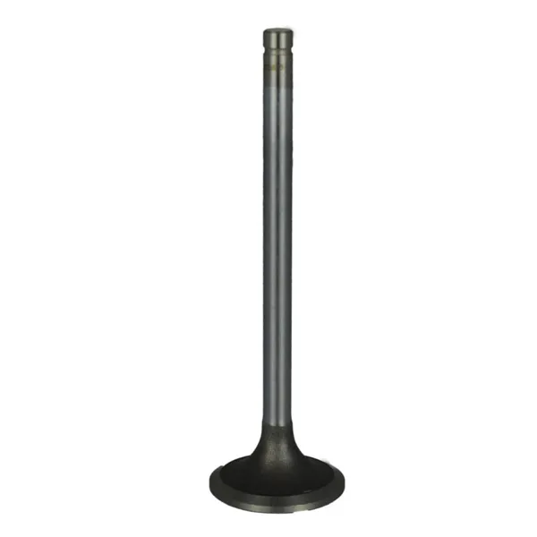 Válvula para cabeza de motor  Diesel MD1823875