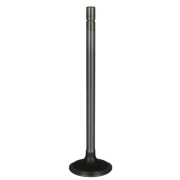 Válvula para cabeza de motor  Diesel MD1839968