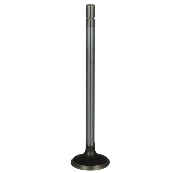 Válvula para cabeza de motor  Diesel MD1842145