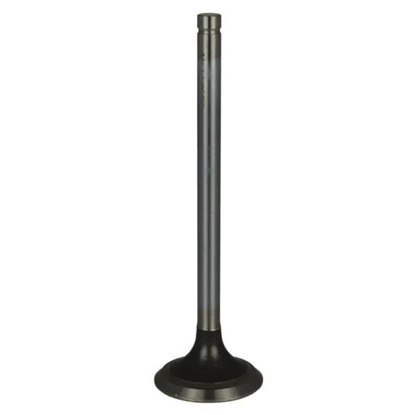Válvula para cabeza de motor  Diesel MD1842912