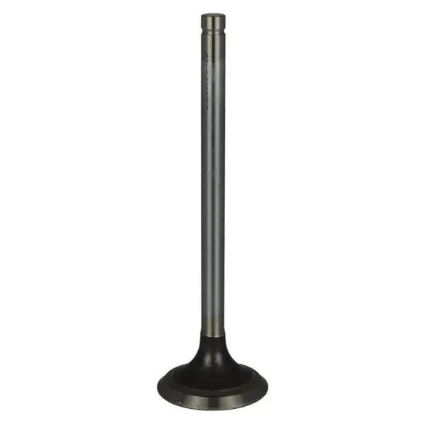 Válvula para cabeza de motor  Diesel MD1842913