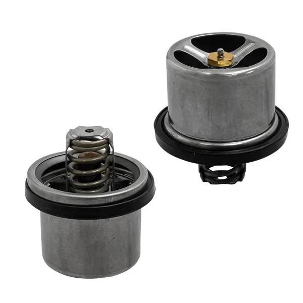 Termostato para motor  Diesel MD201737