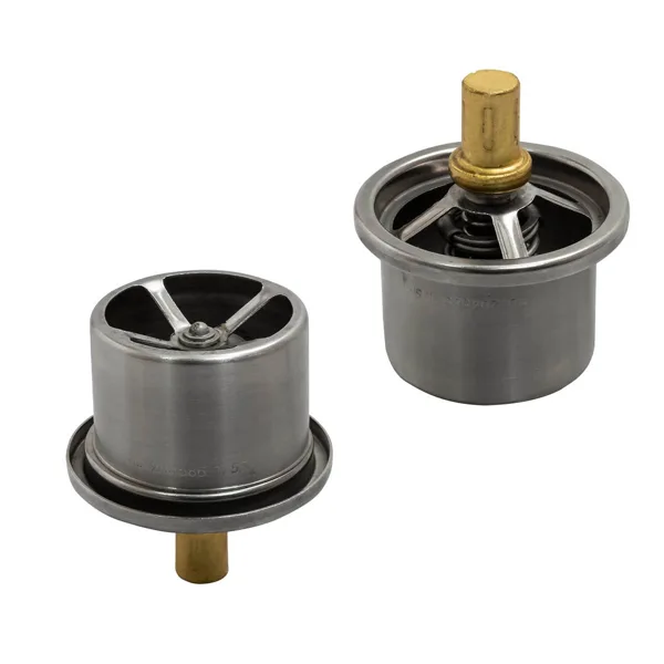 Termostato para motor  Diesel MD204586