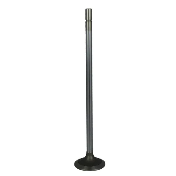 Válvula para cabeza de motor  Diesel MD23501576
