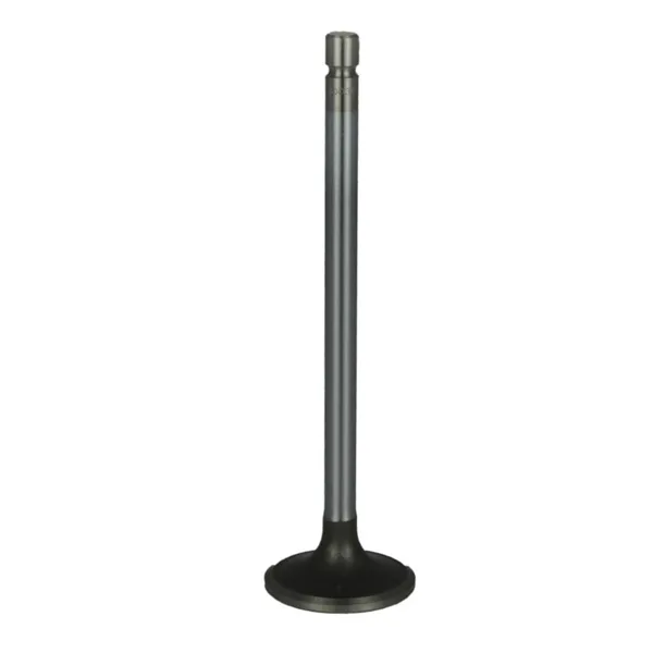 Válvula para cabeza de motor  Diesel MD3800340