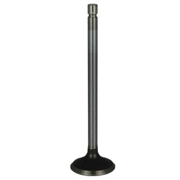 Válvula para cabeza de motor  Diesel MD3800341
