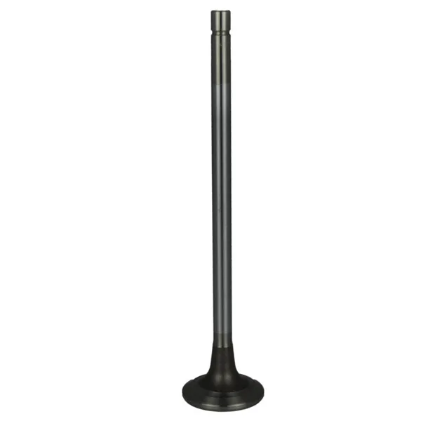 Válvula para cabeza de motor  Diesel MD3800636