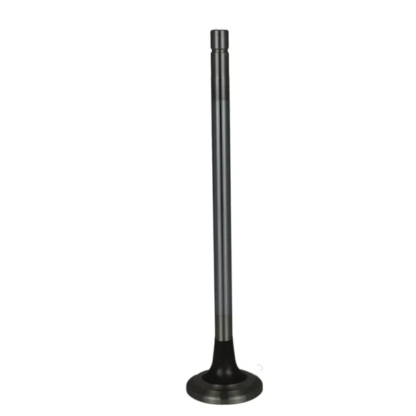 Válvula para cabeza de motor  Diesel MD3800637