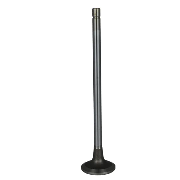 Válvula para cabeza de motor  Diesel MD3800638