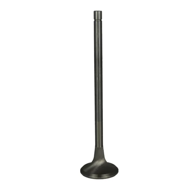 Válvula para cabeza de motor  Diesel MD3800891