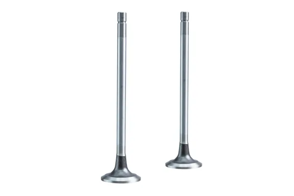 Válvula para cabeza de motor  Diesel MD3801357