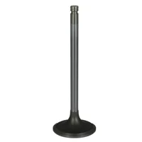 Válvula para cabeza de motor  Diesel