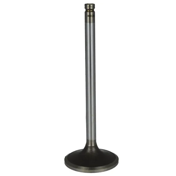 Válvula para cabeza de motor  Diesel MD3802463