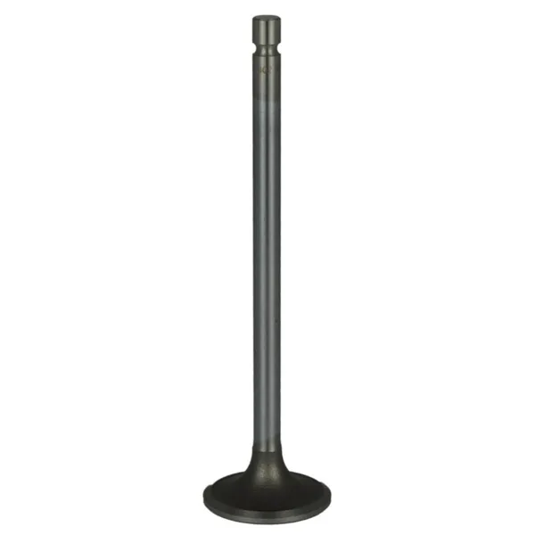 Válvula para cabeza de motor  Diesel MD3802924