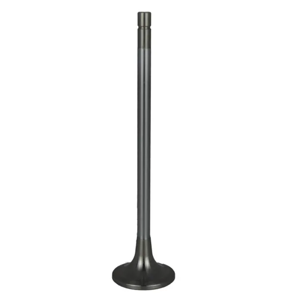 Válvula para cabeza de motor  Diesel MD3803854