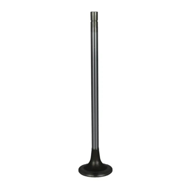 Válvula para cabeza de motor  Diesel MD4965868