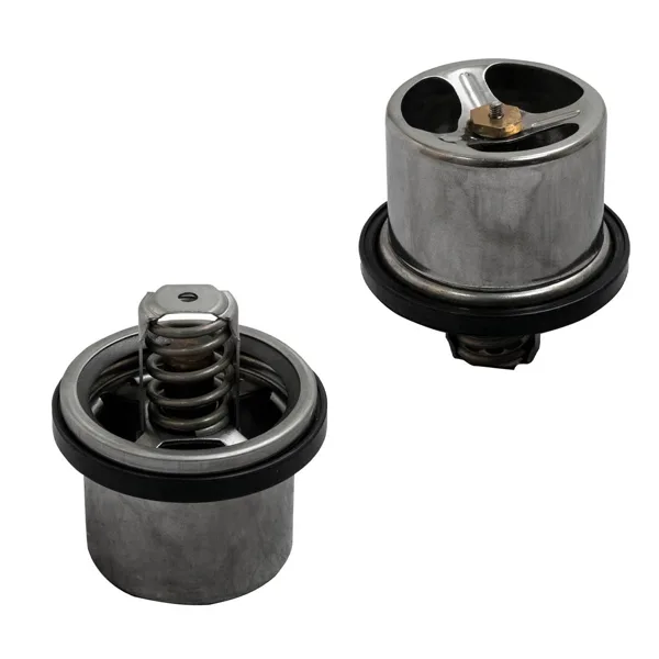 Termostato para motor  Diesel MD8929878