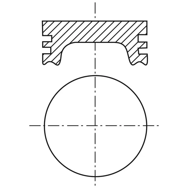 Piston para motor a gasolina P171F STD