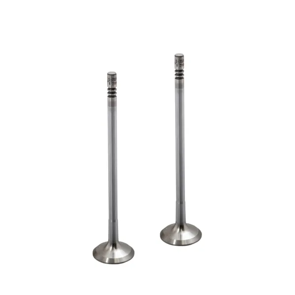 Válvula para motor MORESA S-7328 STD