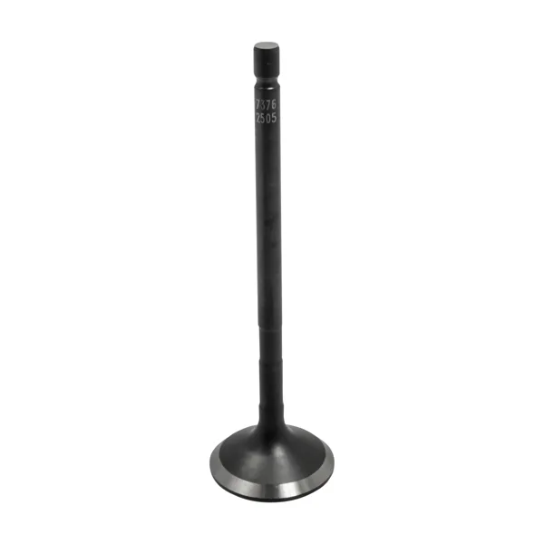 Válvula para motor MORESA S-7376 STD