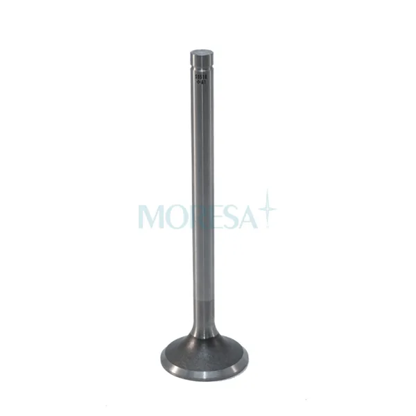 Válvula para cabeza de motor  Diesel S-9510 STD