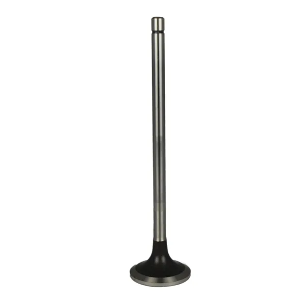 Válvula para cabeza de motor  Diesel S-9718 STD