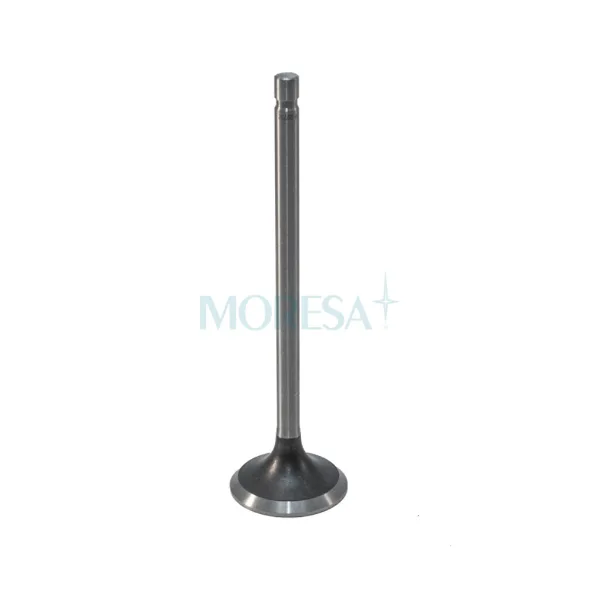 Válvula para cabeza de motor  Diesel S-9752 STD