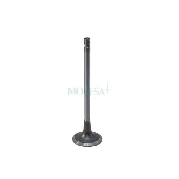 Válvula para cabeza de motor  Diesel V-7145 STD
