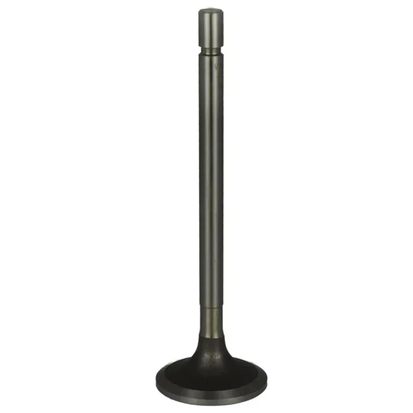 Válvula para cabeza de motor  Diesel V-9631X STD