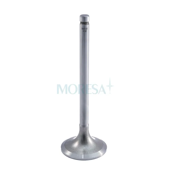 Válvula para cabeza de motor  Diesel V-9713 STD