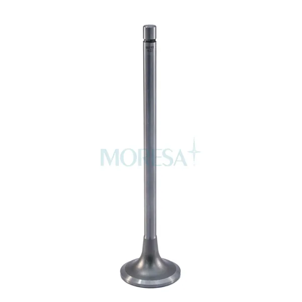 Válvula para cabeza de motor  Diesel V-9719X STD