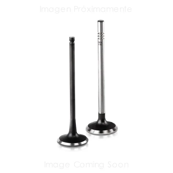 Válvula para cabeza de motor  Diesel V-9753 STD